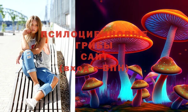 spice Корсаков