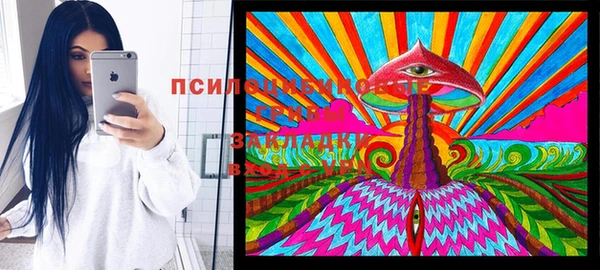 гидропоника Коряжма