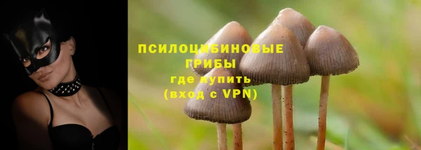 гидропоника Коряжма