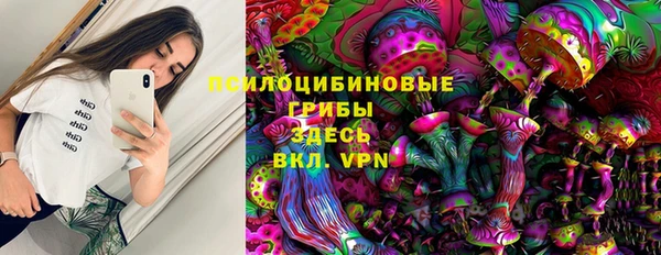 соль ск Кодинск