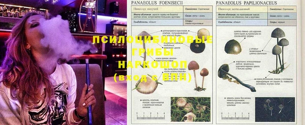гашиш Кулебаки