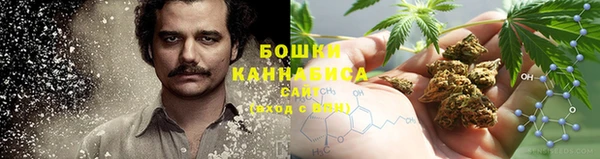гидра Киренск