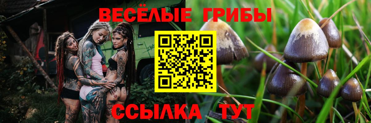 Кумертау  Псилоцибиновые грибы MAGIC MUSHROOMS  наркотики  Вход с VPN 